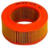 FORD 123E9601D Air Filter